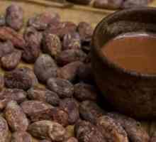 Meksičko drevno nacionalno piće. Povijest čokolade