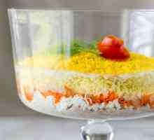 Mimoza salata s piletinom: sastojci i recept