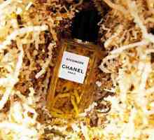 `Sikomore Chanel`: opis, mišljenja