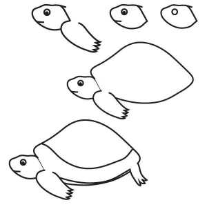Kako crtati kornjaču: korak-po-korak upute za početnike