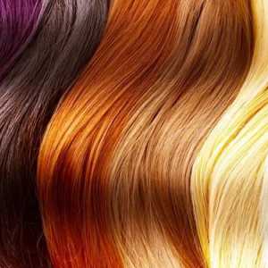 Paleta boja kose boje: značajke odabira tonova